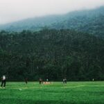 Bangladesh cricket performance: Proven strategies for success